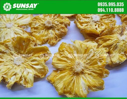 Pineapple dried by food dryer 150 kg to meet export standards