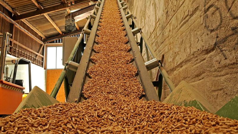 Sawdust is a raw material for the production of wood pellets