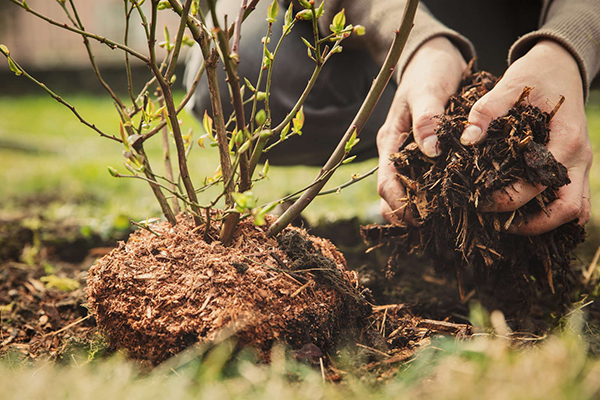 Application of sawdust in the fertilizer industry