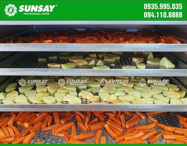 Cheap and quality SUNSAY vegetable dryer price