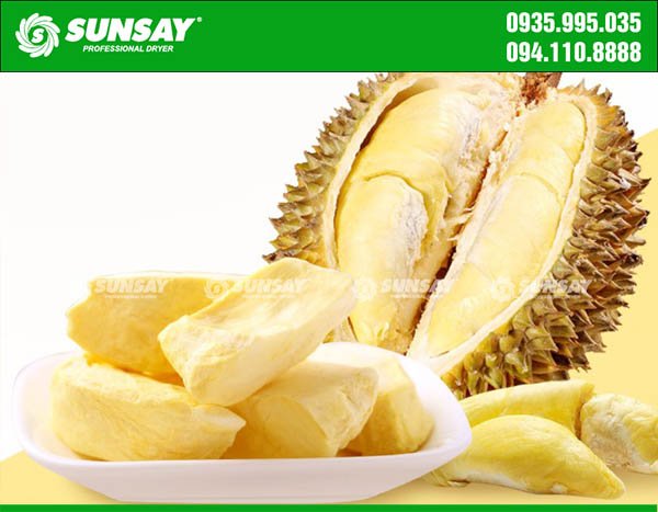 Dry durian with a quality SUNSAY dryer
