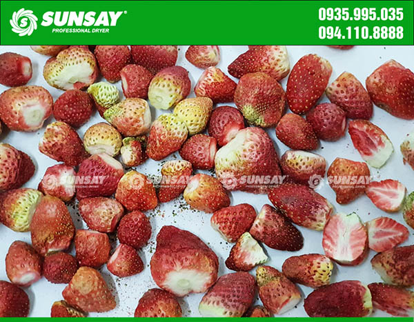 Freeze-dried strawberries keep their color intact with a SUNSAY dryer