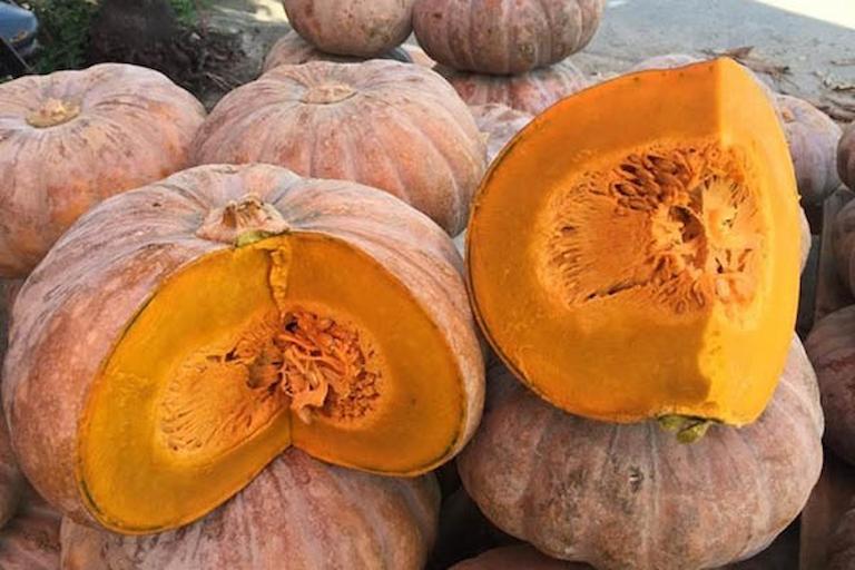 Make dried pumpkin with a dryer quickly and effectively