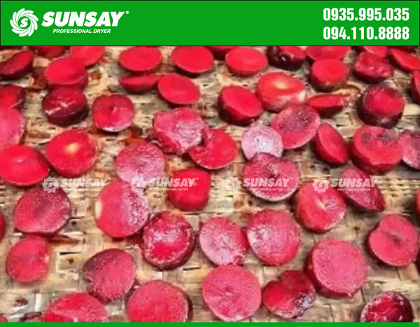 Plums are dried by dryer SUNSAY