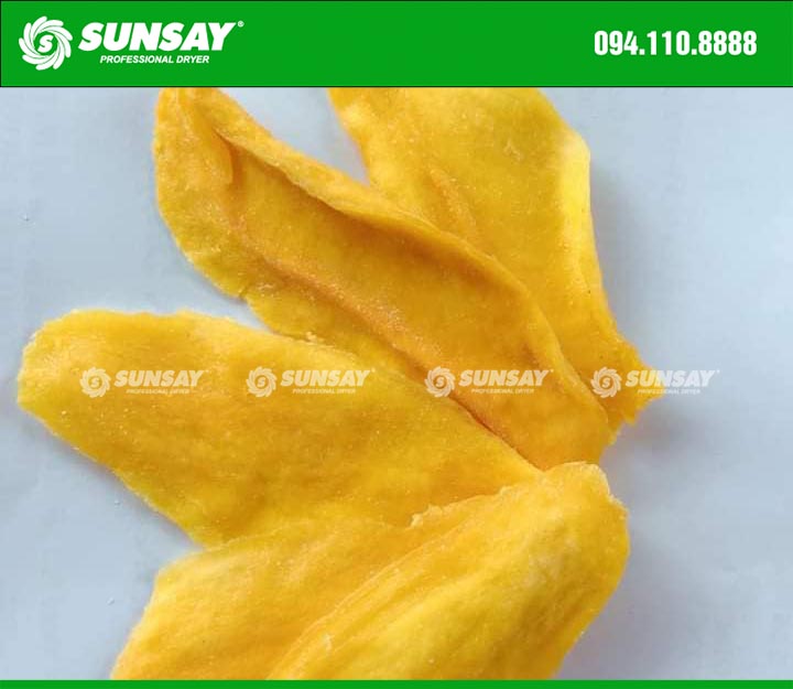 Mangoes are dried by cold drying technology