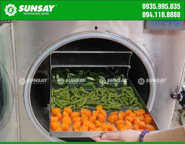 Image of vegetable sublimation dryer