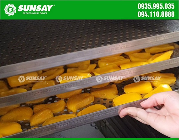 SUNSAY provides quality jackfruit sublimation dryer, good price