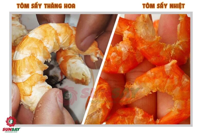 Shrimp dried by sublimation dryer