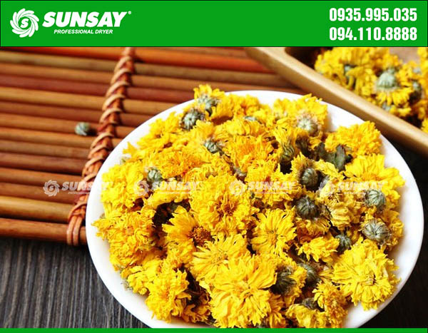 Freeze-dried chrysanthemum flowers have many uses