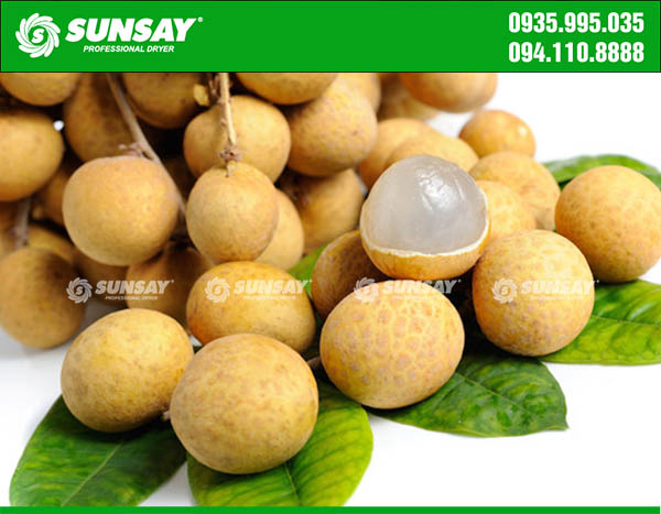 Dried longan is a favorite dish of many people