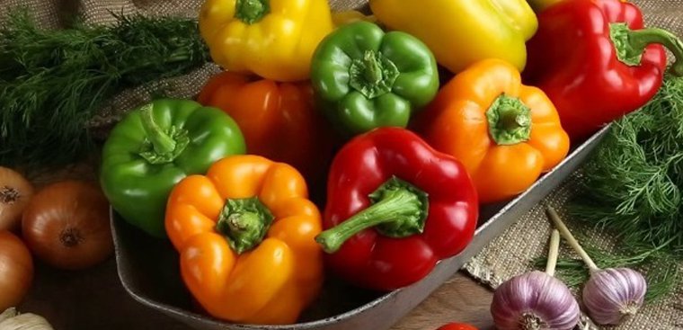 Choose a guaranteed source of bell peppers for drying