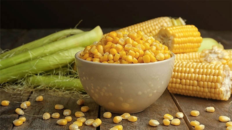 Freshly harvested corn has a lot of moisture. If not stored carefully, it will easily become moldy