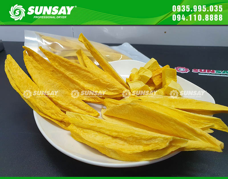 Mango dried with SUNSAY cold dryer