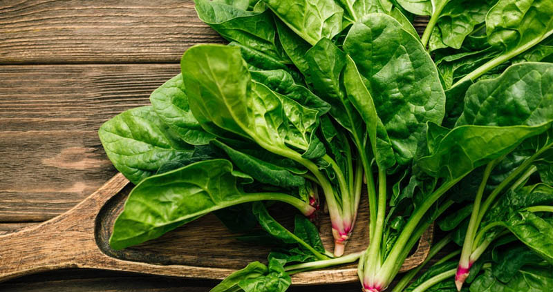 Spinach is a leafy vegetable rich in minerals