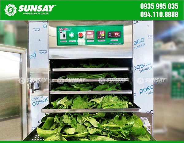 Spinach is washed and placed evenly on the drying tray of the SUNSAY cold dryer