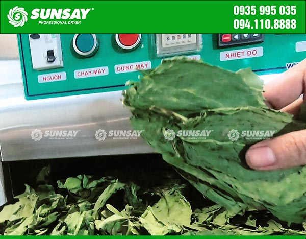 When dried, spinach can be easily preserved or finely ground into powder