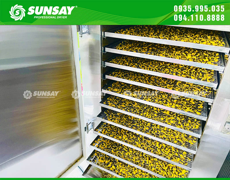 Chrysanthemums dried using SUNSAY freeze-drying technology dry evenly for beautiful colors