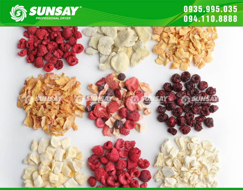 Design of fruit drying factory