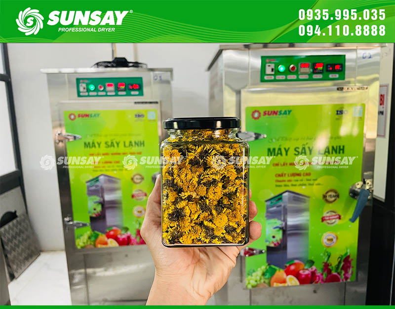 Freeze-dried chrysanthemums using SUNSAY dryer