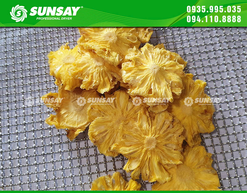 Freeze-dried pineapple with SUNSAY dryer