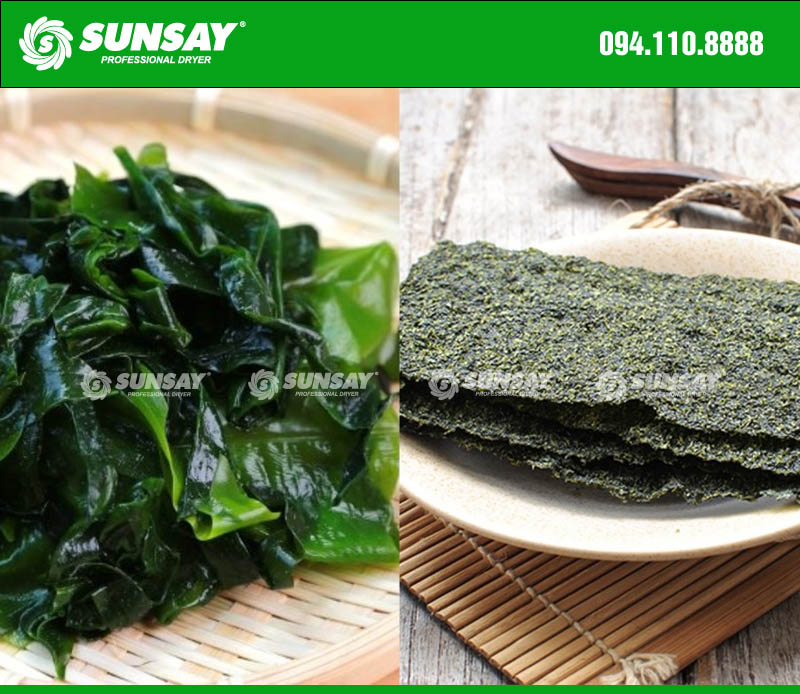 Seaweed before and after drying