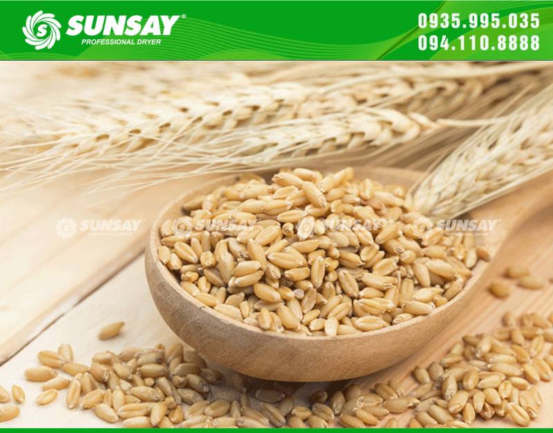 Benefits of barley dryer