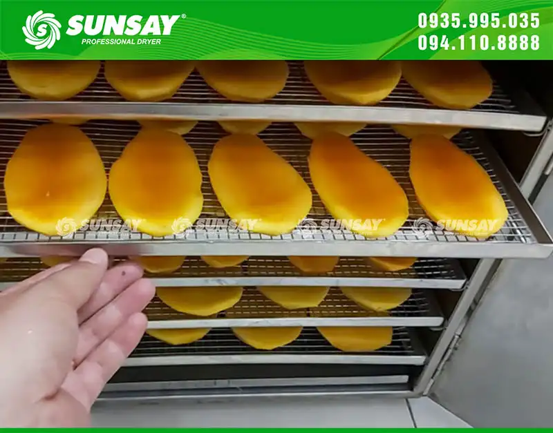 choose SUNSAY heat pump dryer