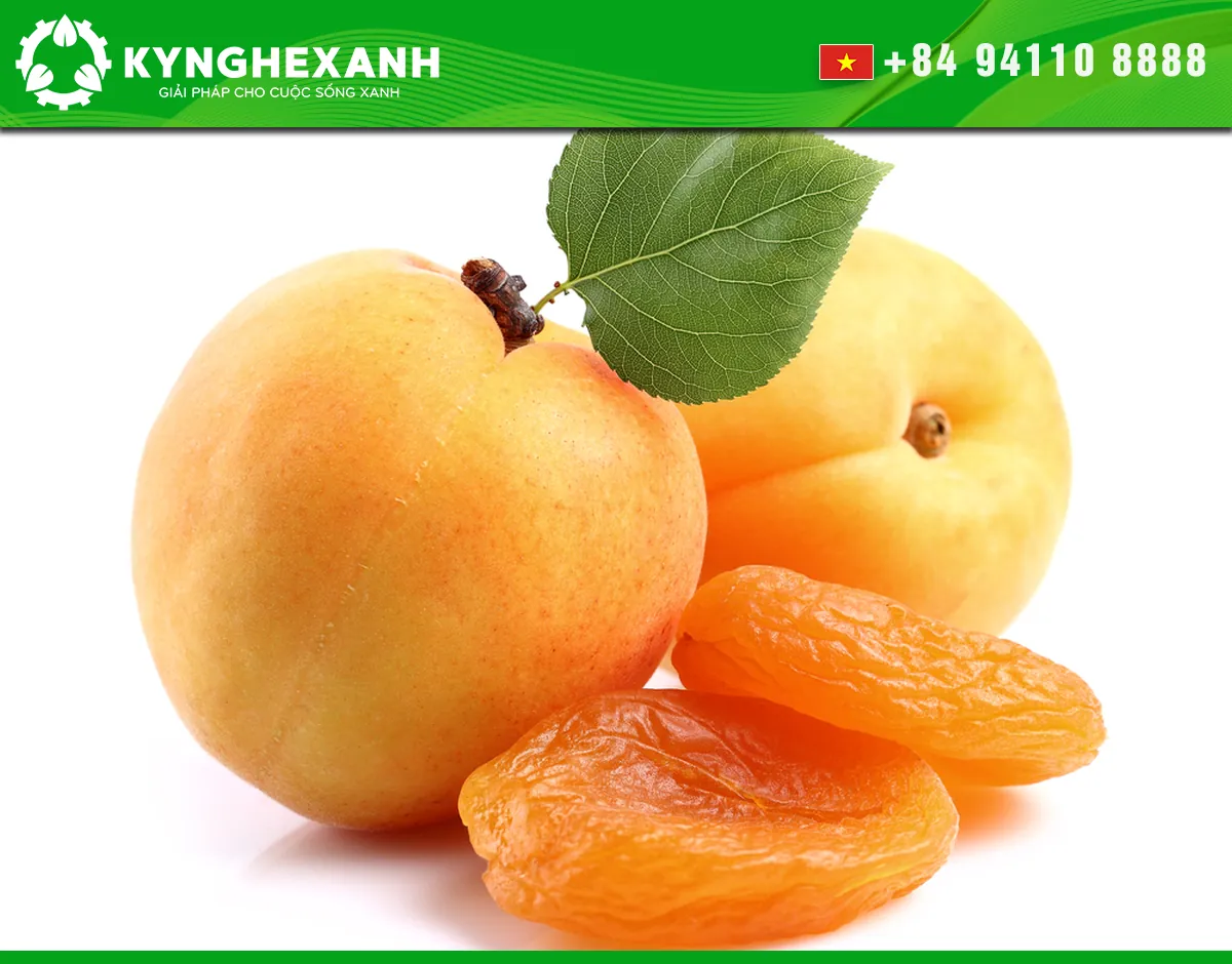 Dried apricots prepared for storage and use