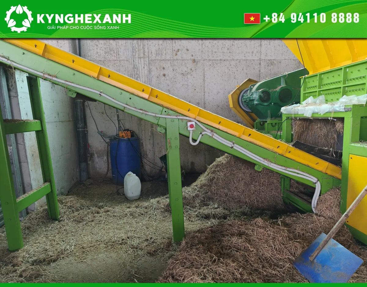 Processed straw collecting near the discharge conveyor