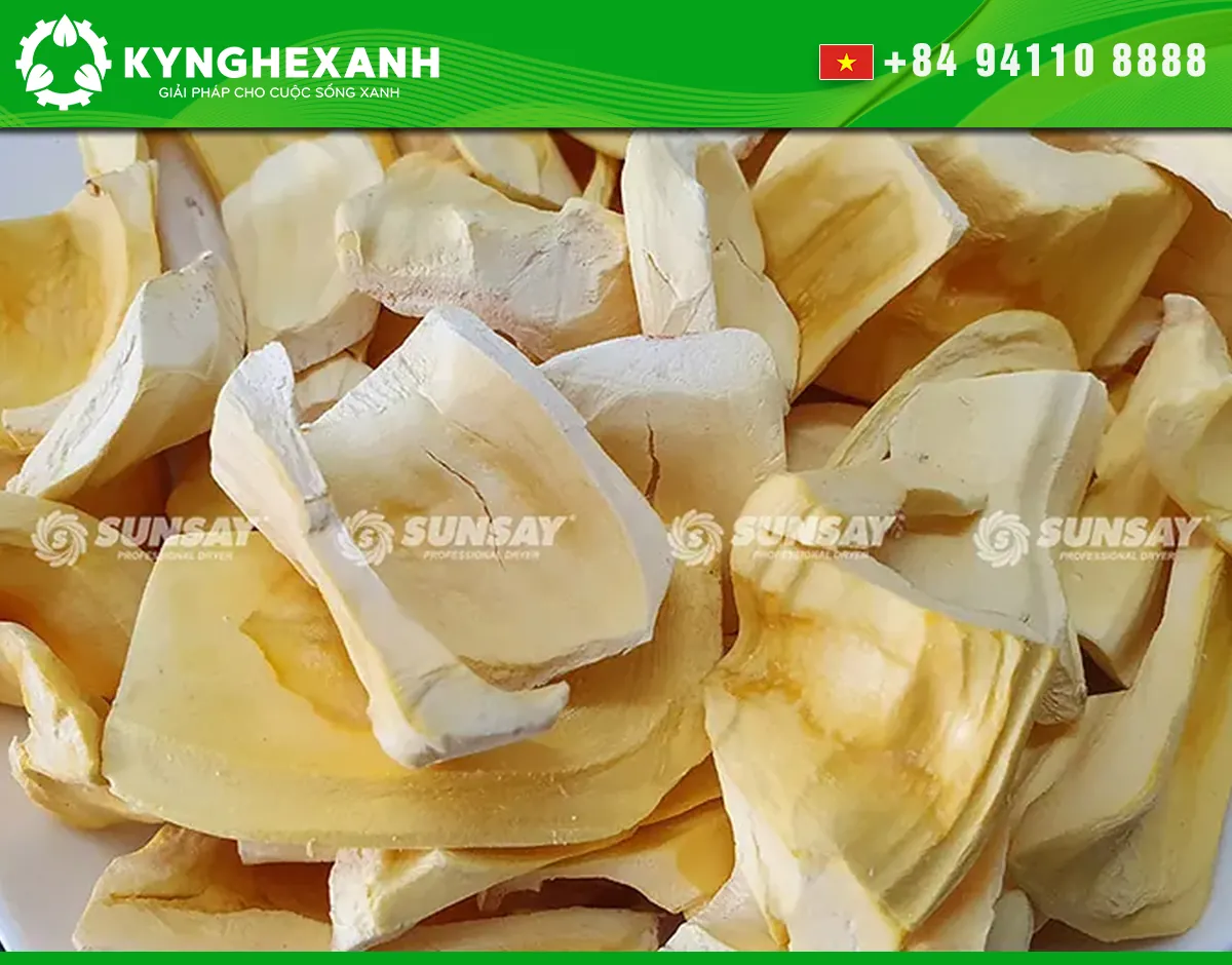 Finished freeze-dried jackfruit pieces
